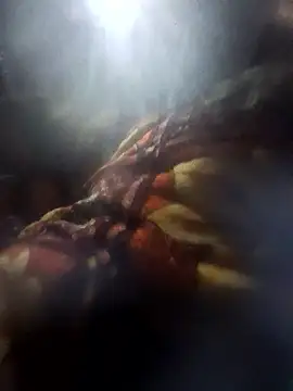 Snapshot of Couples9090 chatting on January 2026 03:58:02 PM Couples9090 online show from January 2026 03:58:02 PM