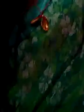 ramya sri online show from February 2026 09:30:01 AM