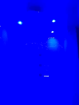 HORSELEG45 online show from February 2026 03:49:01 AM