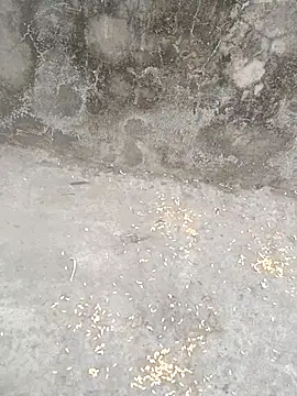 sexyboy 917 online show from March 2026 12:45:02 PM