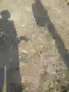 sexyboy 917 online show from March 2026 10:31:02 AM