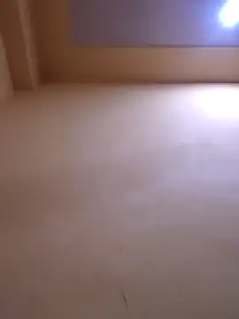 Snapshot of Sakshi-Aditi chatting on January 2026 09:13:01 AM Sakshi-Aditi online show from January 2026 09:13:01 AM