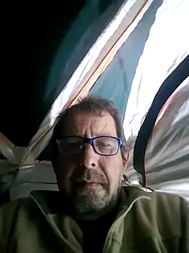 palmview2 online show from May 2026 03:46:01 AM