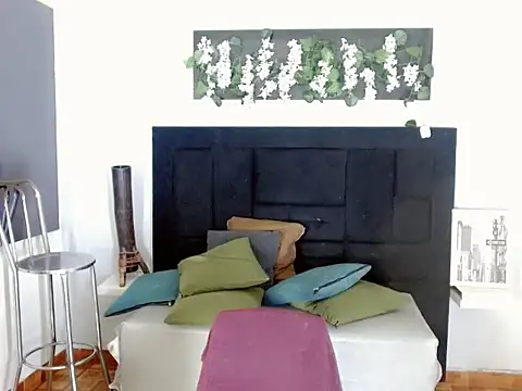 sora jun online show from February 2026 01:11:02 PM