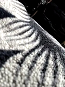 Snapshot of Bhavna8080 chatting on February 2026 08:20:02 PM Bhavna8080 online show from February 2026 08:20:02 PM