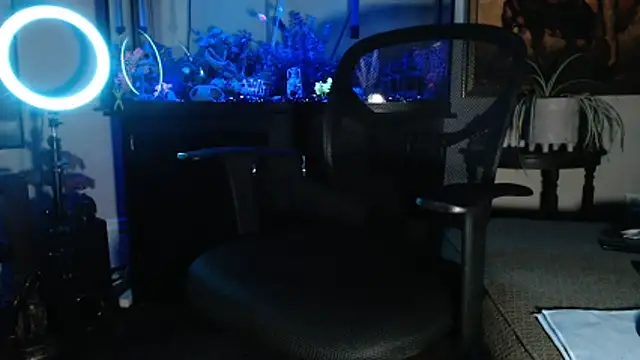 EspanolVato online show from February 2026 09:43:02 AM