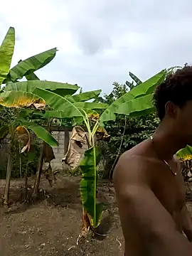 Wild and Sweets online show from January 2026 06:23:02 PM