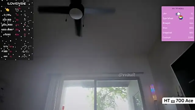 Vesagal online show from April 2026 09:26:02 PM