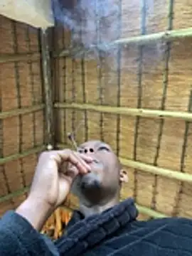 kwandero1234 online show from January 2026 04:07:02 AM