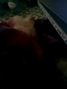 thich lo online show from March 2026 04:35:01 PM