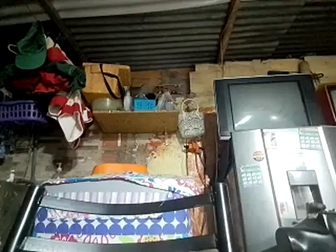 Snapshot of kitty_pi chatting on February 2026 02:48:02 AM kitty pi online show from February 2026 02:48:02 AM