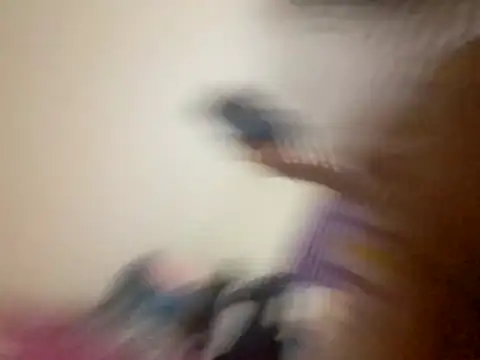 kitty pi online show from March 2026 02:55:01 AM