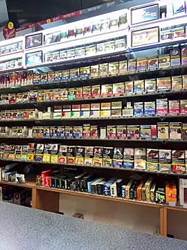 Dominic2295 online show from February 2026 04:54:01 AM