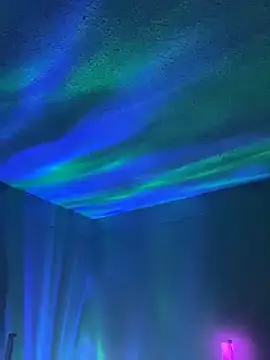 wolfbucker online show from April 2026 05:16:01 AM