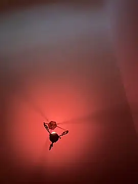 Snapshot of witchdub chatting on February 2026 04:47:02 PM witchdub online show from February 2026 04:47:02 PM