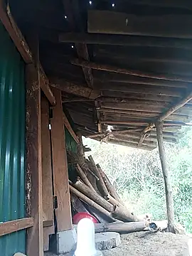 feli-00 online show from January 2026 02:02:02 AM