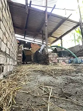 Ginny 2x online show from February 2026 03:36:02 AM