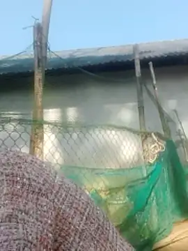 Snapshot of jjennyyy chatting on January 2026 03:23:01 AM jjennyyy online show from January 2026 03:23:01 AM