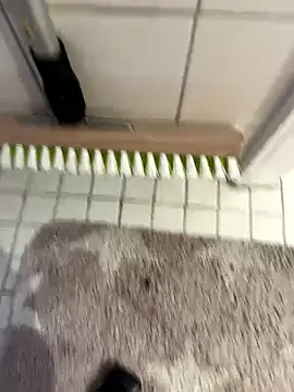 Hamsterdich online show from January 2026 04:00:01 PM