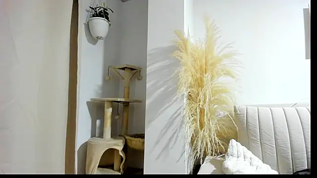  Sweet ary online show from April 2026 02:55:01 AM