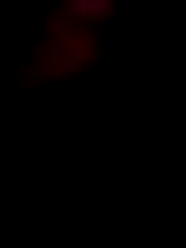 Snapshot of Elcalifa chatting on February 2026 09:48:02 PM Elcalifa online show from February 2026 09:48:02 PM