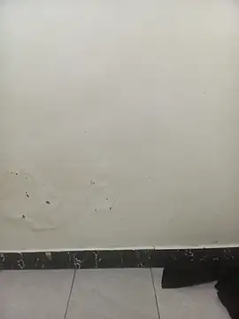 PatriciaVen online show from February 2026 06:22:01 AM