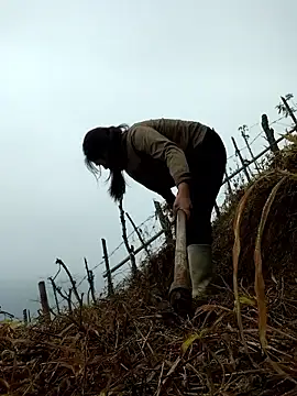 miumiu sexy2x online show from April 2026 02:01:01 AM