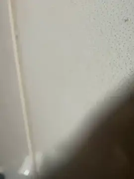 luvis69couple online show from April 2026 02:47:02 PM