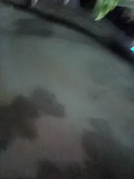 ahsssex2026 online show from February 2026 08:46:02 AM