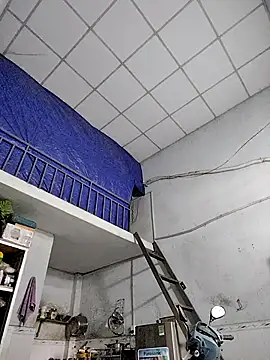 Famrita online show from January 2026 01:31:02 AM