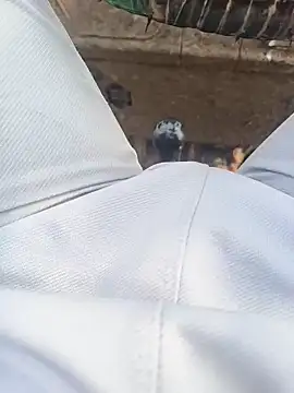 Snapshot of Hot_BoyDick-Telugu chatting on January 2026 07:57:02 AM Hot BoyDick-Telugu online show from January 2026 07:57:02 AM