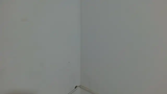 Snapshot of princess1609 chatting on March 2026 01:17:02 PM princess1609 online show from March 2026 01:17:02 PM