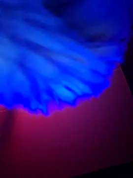 dewimp1 online show from February 2026 06:18:02 AM