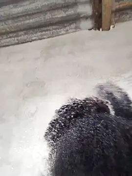 Snapshot of vaniyna chatting on February 2026 10:58:02 AM vaniyna online show from February 2026 10:58:02 AM