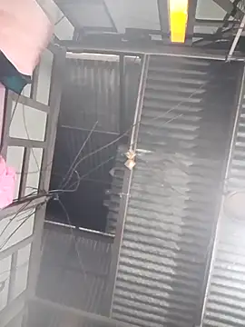 maisamim2 online show from March 2026 07:35:01 AM