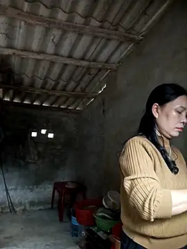 Nuna 689 online show from March 2026 04:09:01 AM