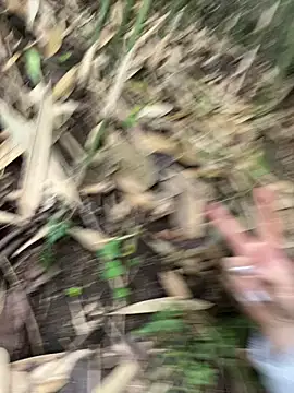 Lyn-be99 online show from February 2026 04:09:02 AM