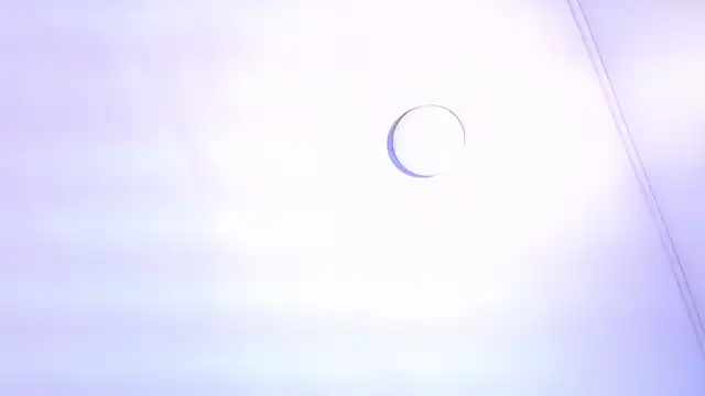 TINY TAY online show from February 2026 11:59:01 AM