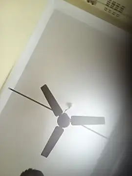 deshilnd online show from April 2026 04:21:02 AM