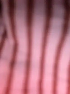 Heo xxinhxx online show from April 2026 11:11:02 PM