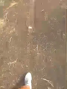 jhenyseducao online show from March 2026 11:02:01 AM