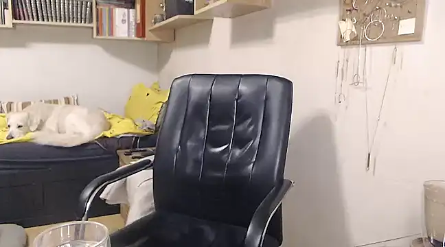 Snapshot of katemodel chatting on December 2024 02:04:01 PM katemodel online show from December 2024 02:04:01 PM