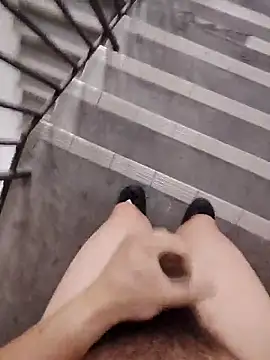 Wvpppp online show from April 2026 10:09:02 AM