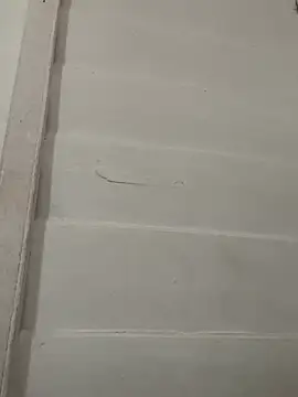 Snapshot of vainillasuave chatting on February 2026 03:21:02 PM vainillasuave online show from February 2026 03:21:02 PM