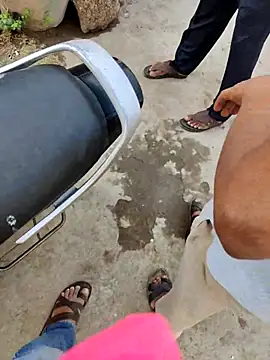 3D-telugu online show from February 2026 05:00:02 AM