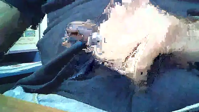 elegantblack online show from May 2026 11:50:01 AM