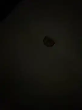 Diamanda12 online show from March 2026 04:36:01 AM