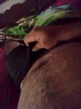 fcenteno124 online show from April 2026 10:18:01 PM