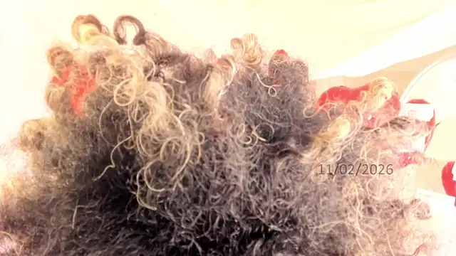 Brit weston online show from February 2026 09:42:01 PM