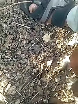 Cute Boy 4 online show from February 2026 11:16:01 AM